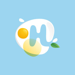 Letter H logo on a Fried Egg with green leaf and splashes.