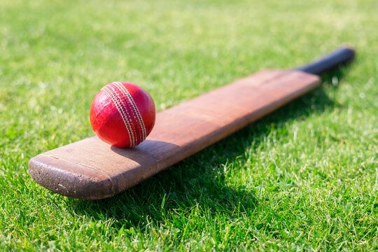 Cricket Bat And Ball 110 671 Adobe Stock