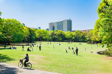 新緑の公園広場 © oben901