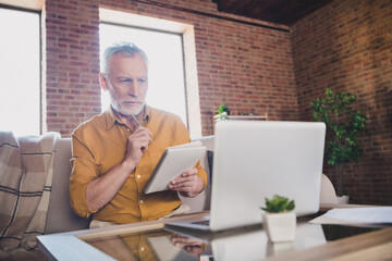 Portrait of calm concentrated man sit on sofa hand hold pen touch chin look interested laptop ponder indoors