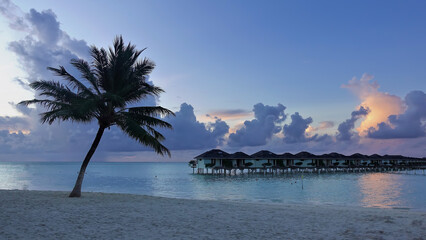 Morning. Dawn. A palm tree on a sandy beach bent over an aquamarine ocean. There are a number of villas on the water. There are blue and pink cumulus clouds in the sky. Maldives
