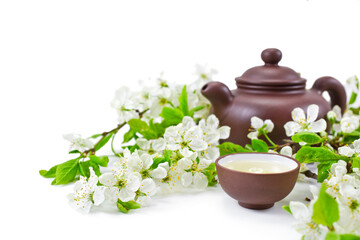 Obraz na płótnie Canvas Green tea in a cup, clay teapot with branches of blossoming cherry tree on a white background.