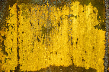 background metal surface with yellow-brown paint and fungal bloom
