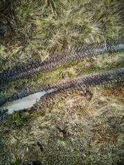 Big car tire print on ground. Traces of tractor or bulldozer tires in large mud. Imprint from wheels tracks. Deforestation and logging, forest clearing, timber removal. Above view
