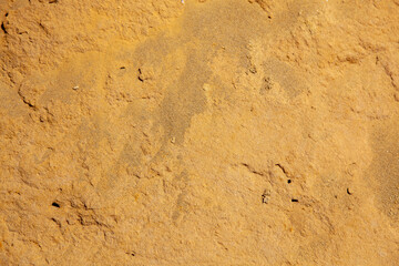 Yellow natural fossile marine sands and gravels texture Background. Sandstone rocks at the cliff on the Steigerberg Geotope, Rhineland Palatinate, Germany