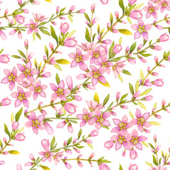 Floral seamless pattern. Spring flowers on a white background. Watercolor.
