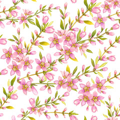 Nahtloses Blumenmuster. Frühlingsblumen auf weißem Hintergrund. Aquarell. © marinavorona