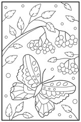 Butterfly and flowers. Hand drawn coloring for kids and adults. Beautiful simple drawings with patterns. Coloring book pictures with animals. Vector