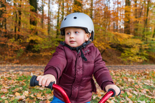 Little Boy Learning To Ride A Bicycle In The Park In Autumn. Toddler Wearing Safety Helmet On A Balance Bike.