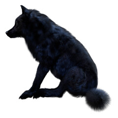 3D Rendering Black Wolf on White