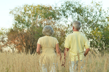 Naklejka na ściany i meble Back view. Happy elderly couple outdoors