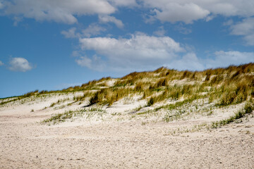Dunes at the North Sea coast in The Netherlands at Cadzand-Bad in the province Zeeland on a cold but sunny day in April 2021. 