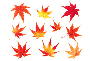 紅葉したカエデの葉　秋のイメージ