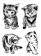 Vector set of cats on white, adorable kittens elements in grapical style