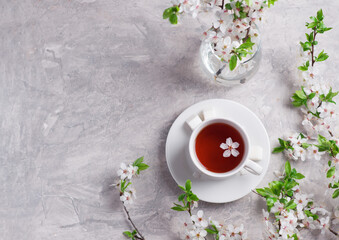 Flat lay white tea cup, cherry blossom branches, on white stone table