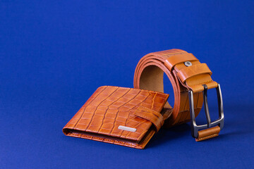 Brown reptile leather wallet and belt on blue fabric background. Fashion and shopping concept
