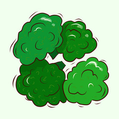 Source of vitamin C. Vector illustration. Broccoli cabbage. Green bunch of broccoli. Cartoon.