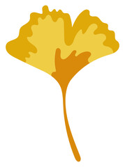 Ginko