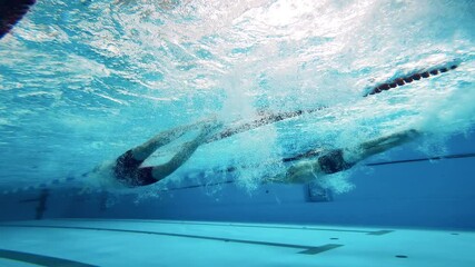 Swimming competition in an underwater view