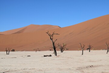 A stunning landscape around Deadvlei and Sossusvlei Natural Reserve in the center of Namib Desert in Namibia