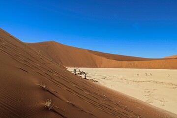 Fototapeta na wymiar A stunning landscape around Deadvlei and Sossusvlei Natural Reserve in the center of Namib Desert in Namibia