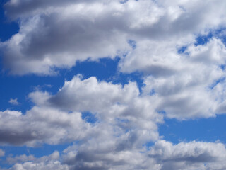 Obraz premium Natural sunny blue sky background with beautiful lush white cumulus clouds and fluffy cirrus clouds