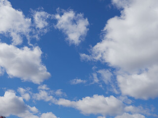 Natural sunny blue sky background with beautiful lush white cumulus clouds and fluffy cirrus clouds