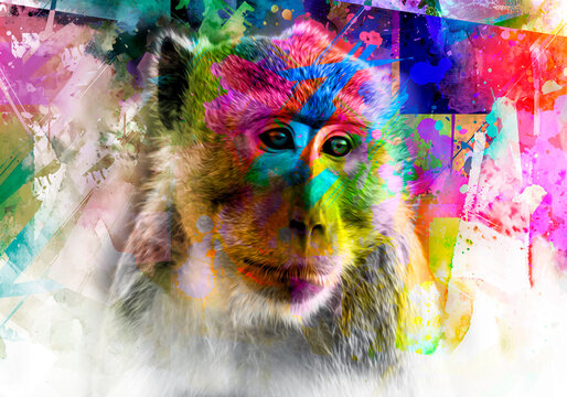 close up of a painted face monkey