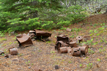 Historic metal cans and containers on Stampeders Chilkoot Trail between Alaska and Canada
