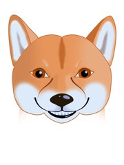 Shiba-inu
