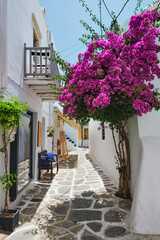 Picturesque Naousa town street on Paros island, Greece - obrazy, fototapety, plakaty