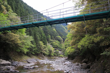Fototapeta premium 別府渓谷と吊り橋