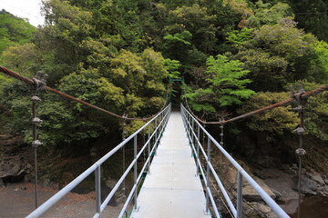 Fototapeta na wymiar 別府渓谷と吊り橋