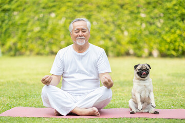 Calm of Healthy Asian Elderly man with white hairs doing yoga lotus pose for meditation with dog pug breed on green grass at park,Wellness Senior Recreation with yoga concept