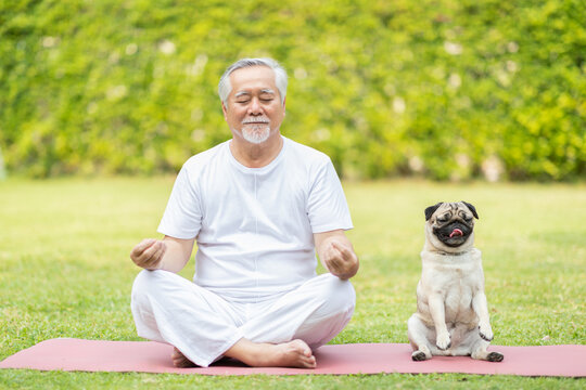 Calm Of Healthy Asian Elderly Man With White Hairs Doing Yoga Lotus Pose For Meditation With Dog Pug Breed On Green Grass At Park,Wellness Senior Recreation With Yoga Concept