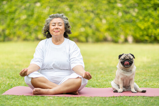 Calm of Healthy Asian Elderly woman with white hairs doing yoga lotus pose for meditation with dog pug breed on green grass at park,Wellness Senior Recreation with yoga concept