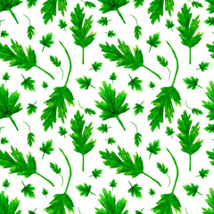 Fototapeta na wymiar Parsley on a white background. Seamless pattern. The plant illustration is hand-drawn in watercolour. Can be used for fabric, wrapping paper, cover, postcard, scrapbooking.