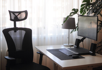 Orthopaedic chair at home. Work place with curved screen. Interior with plants