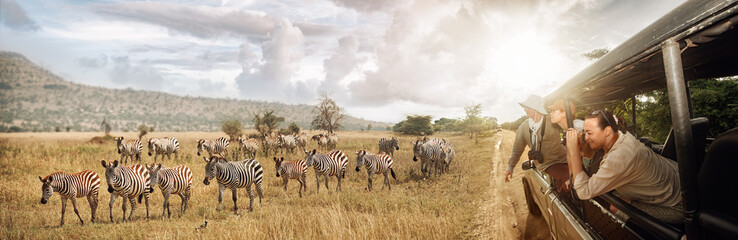 Group of young people watch and photograph wild zebras on safari tour in national park on Tanzania. - obrazy, fototapety, plakaty