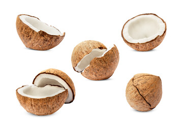 Collection of coconut isolated on white Background