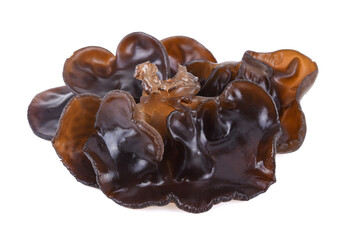 Black fungus on white background.(black ear mushrooms)
