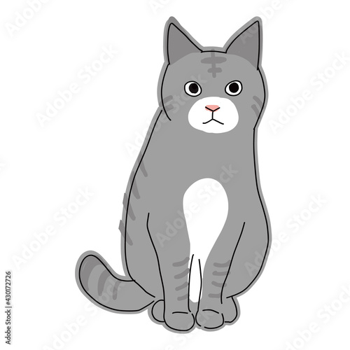 座っているサバ猫の全身イラスト Animal Poster Anim 山尾 由美 座っているサバ猫の全身イラスト Animal Poster Anim 山尾 由美