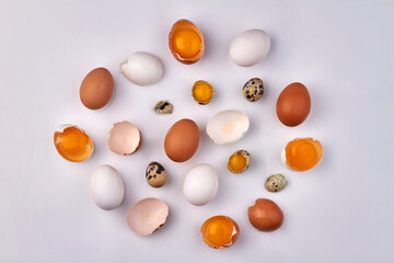 Top view collection of various broken eggs.
