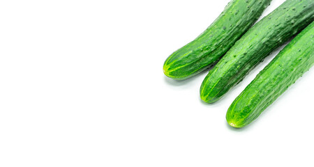 fresh young early cucumbers isolated on a white background with a blank space for your text