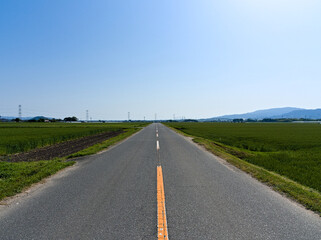 水田の中をまっすぐに走るアスファルト道路