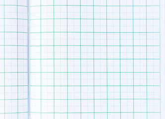 Lined paper from a notebook on white