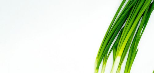 green fresh onion feathers on a white isolated background with a blank space for your text