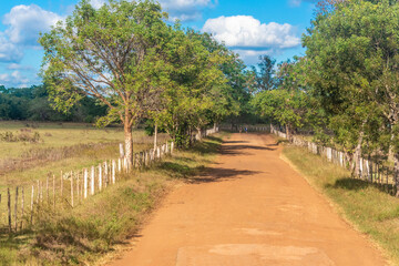 Cuban dirt road in a rural area of the Camaguey province. 