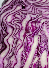 Obraz premium purple cabbage on a gray background