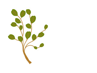 Obraz premium colorful Leaves tree and Flower background, Springtime, Season, Leaf,wallpaper